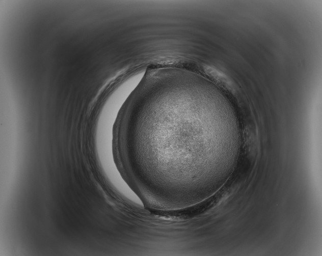 X0000086320400200704202026