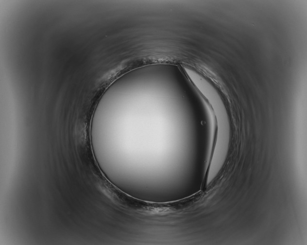 X0000086320401200704202026