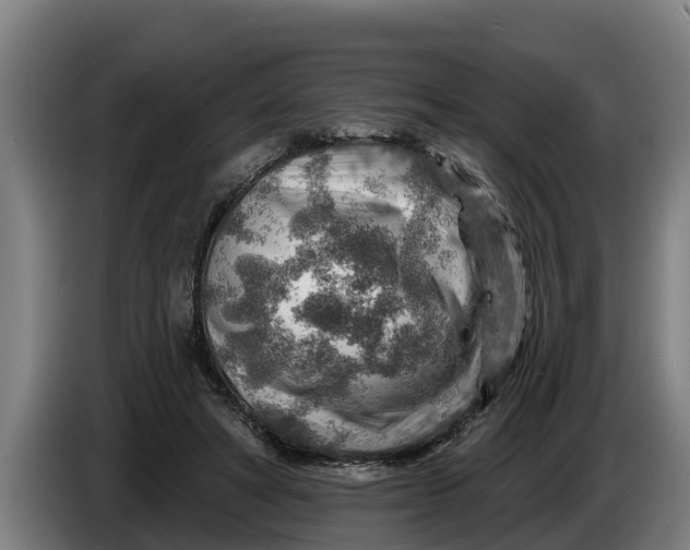 X0000086320402200704202026