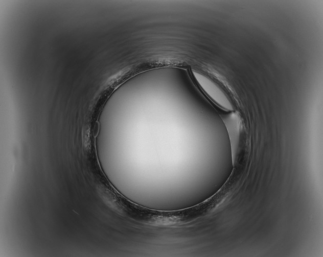 X0000086320403200704202026