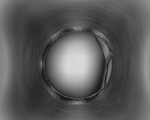 X0000086320405200704202026