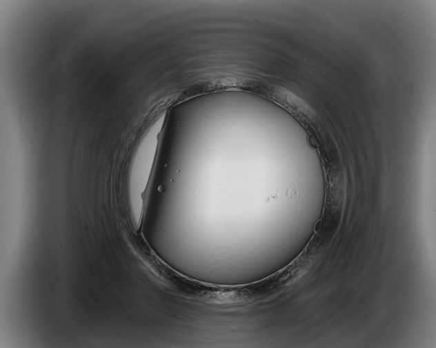 X0000086320406200704202026