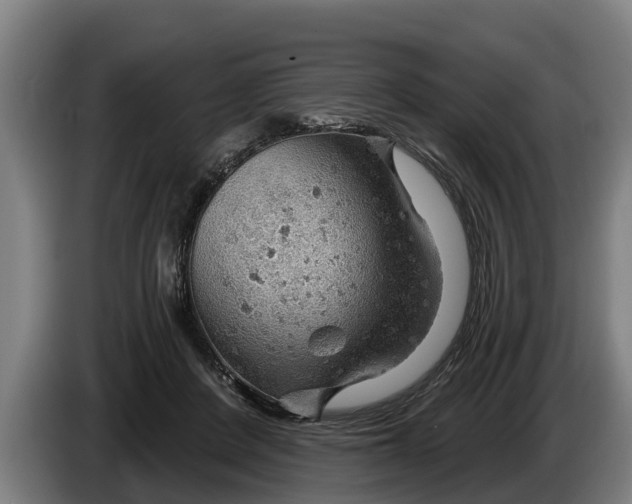 X0000086320408200704202026