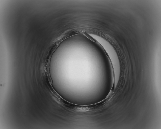 X0000086320409200704202026