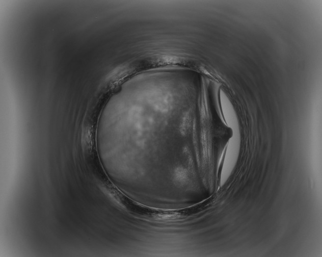 X0000086320410200704202026