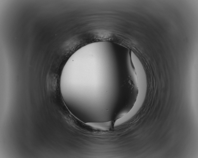 X0000086320412200704202026