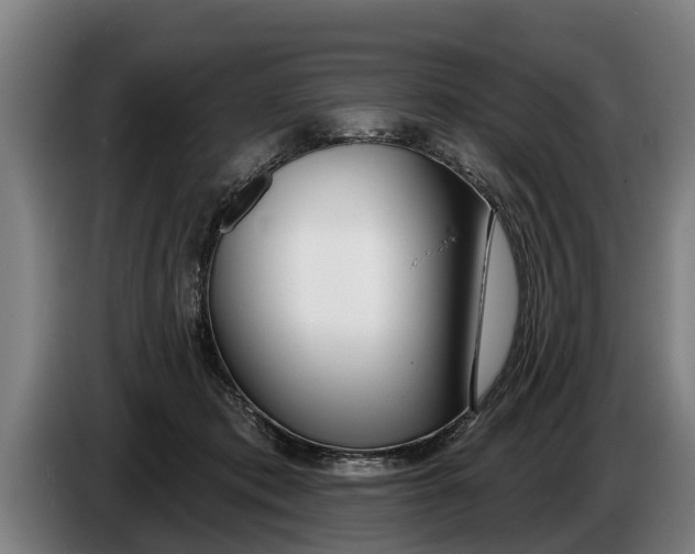 X0000086320413200704202026