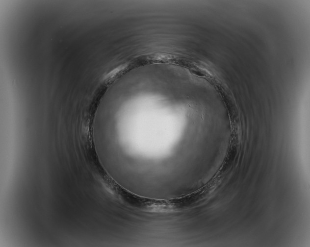 X0000086320415200704202026