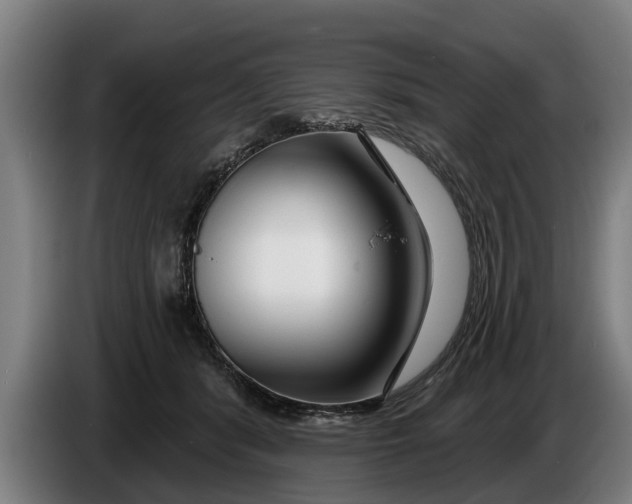 X0000086320416200704202026