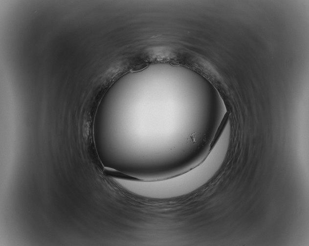 X0000086320417200704202026