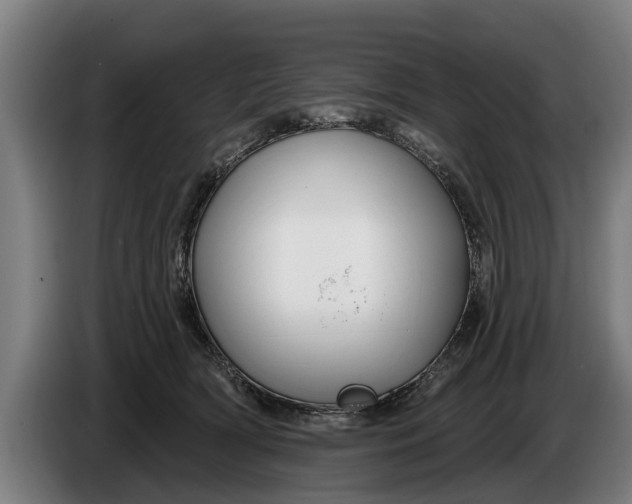 X0000086320418200704202026