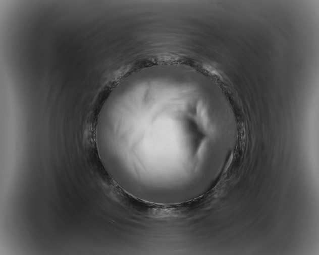 X0000086320419200704202026