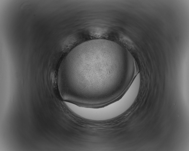 X0000086320420200704202026