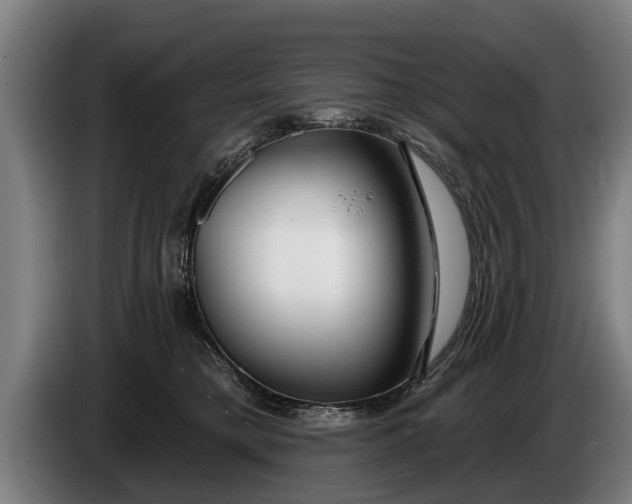 X0000086320421200704202025