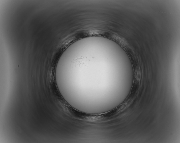 X0000086320422200704202025