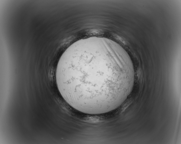 X0000086320423200704202025