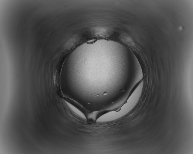 X0000086320424200704202025