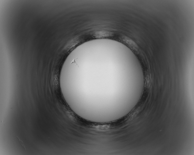 X0000086320426200704202025