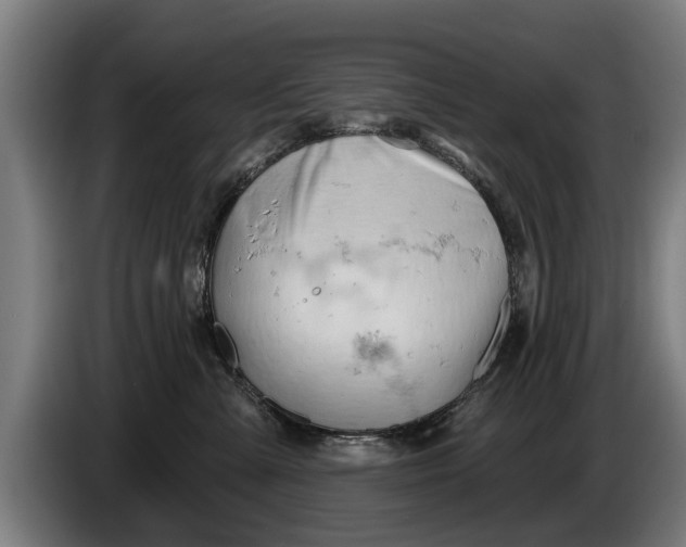 X0000086320427200704202025