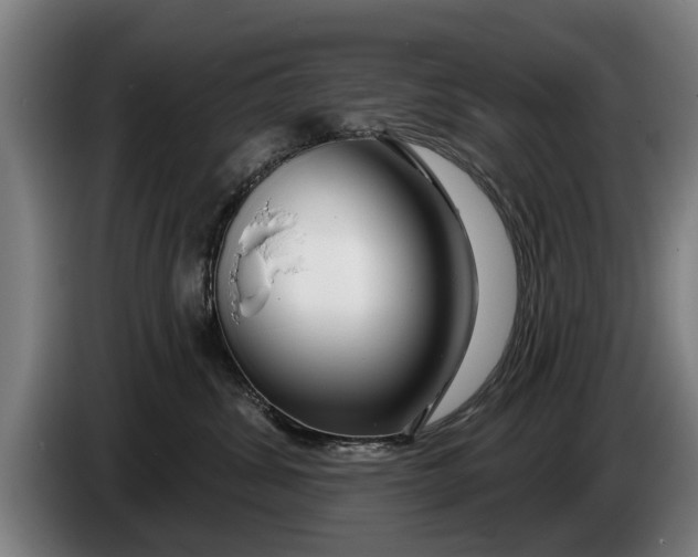 X0000086320428200704202025