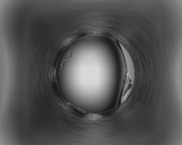 X0000086320429200704202025