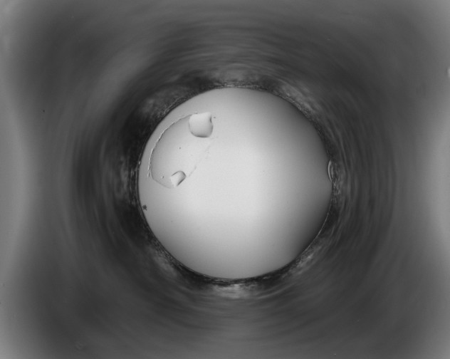 X0000086320430200704202025