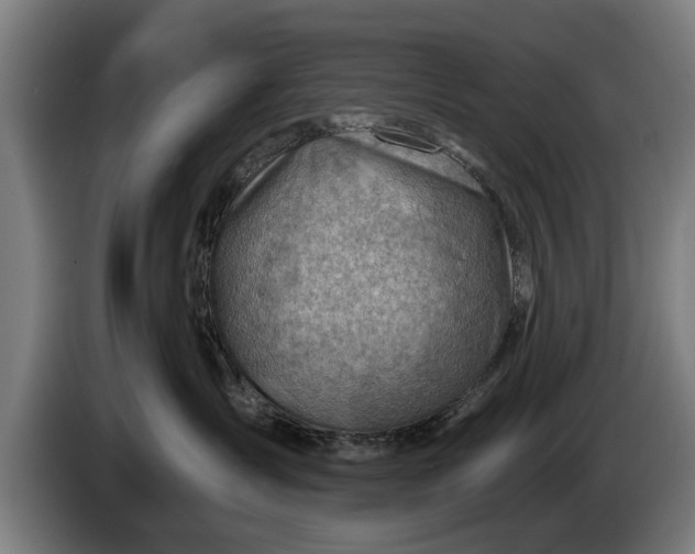 X0000086320431200704202025