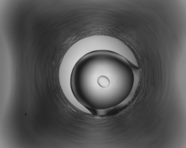 X0000086320432200704202025