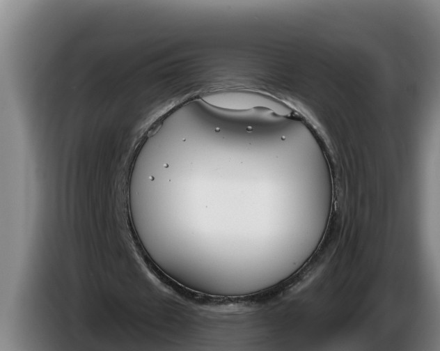 X0000086320433200704202025