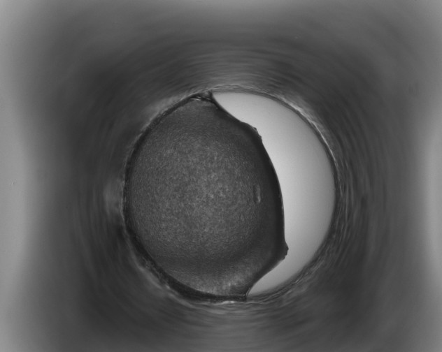 X0000086320434200704202025