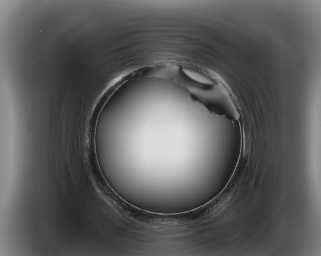 X0000086320435200704202025