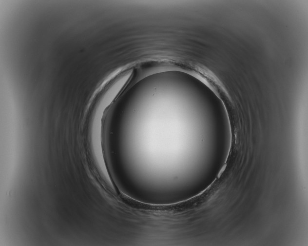 X0000086320436200704202025