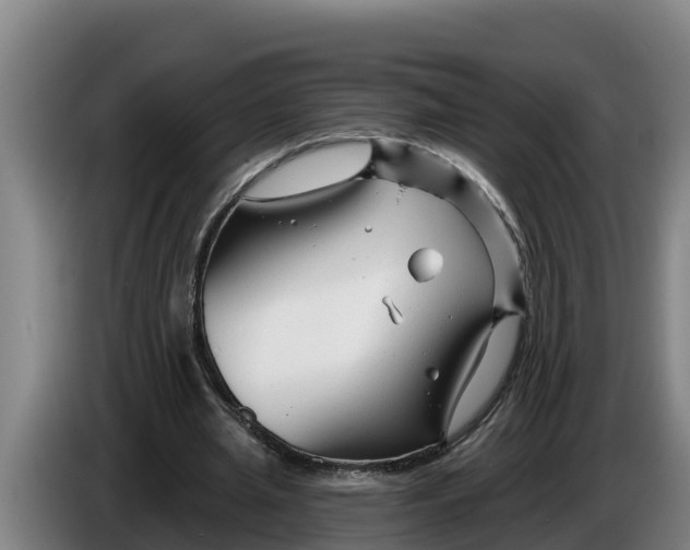 X0000086320437200704202025