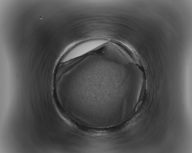 X0000086320438200704202025