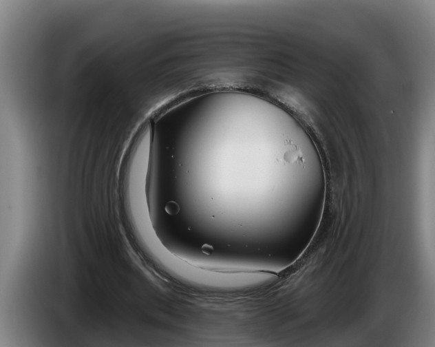 X0000086320439200704202025