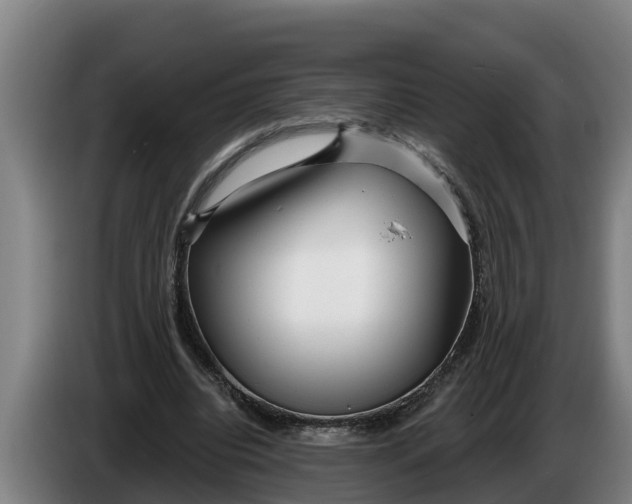 X0000086320440200704202025