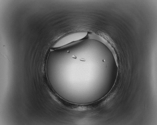 X0000086320441200704202025