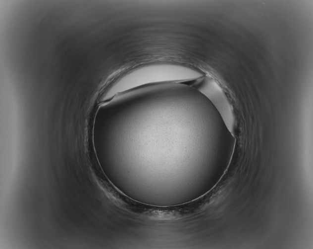 X0000086320442200704202025