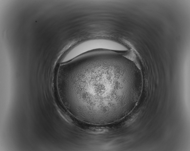 X0000086320443200704202025