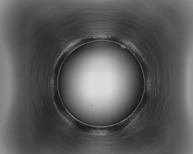 X0000086320444200704202025