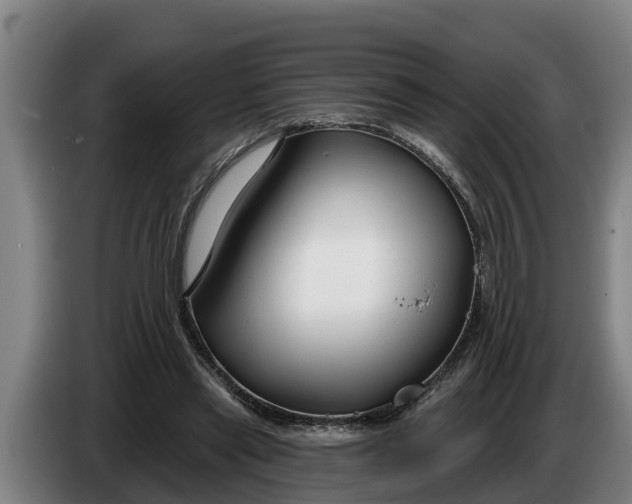 X0000086320445200704202025