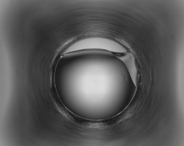 X0000086320446200704202025