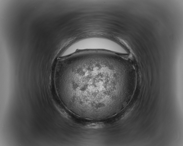 X0000086320447200704202025