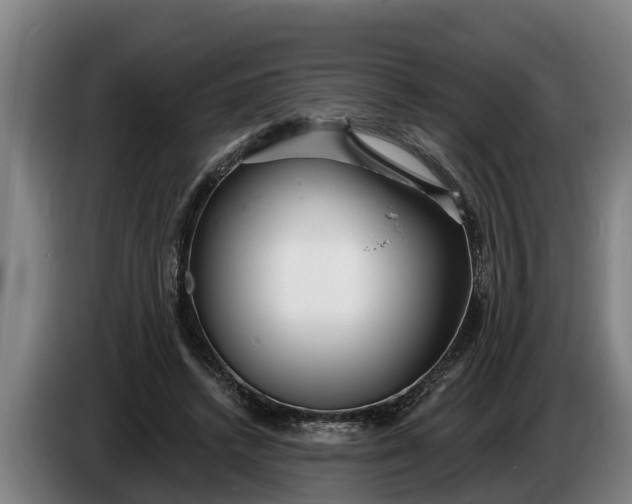 X0000086320448200704202025