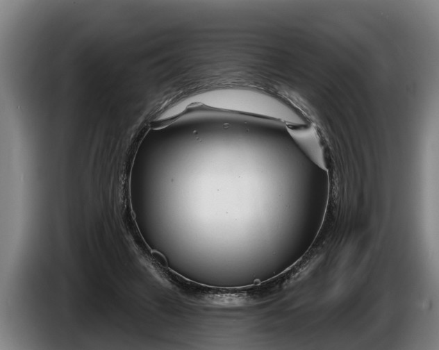 X0000086320449200704202025