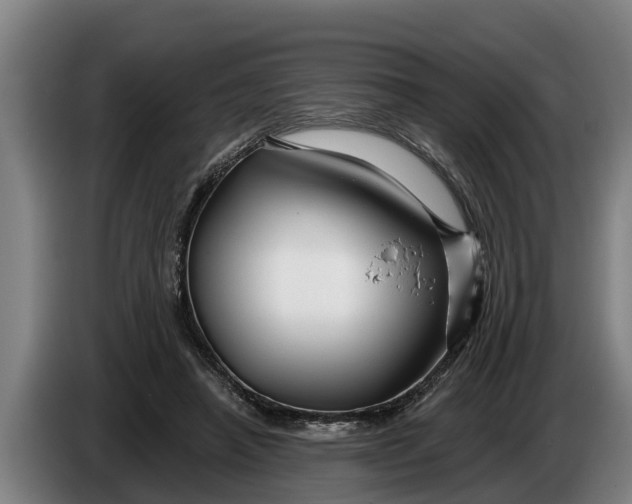 X0000086320450200704202025