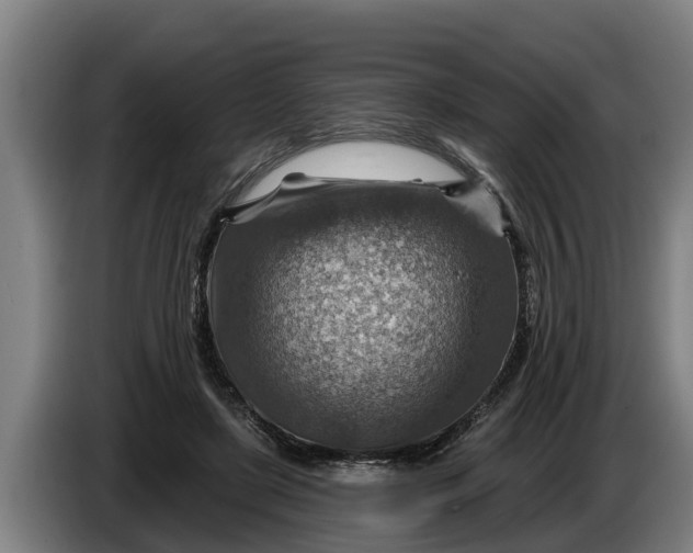 X0000086320451200704202025