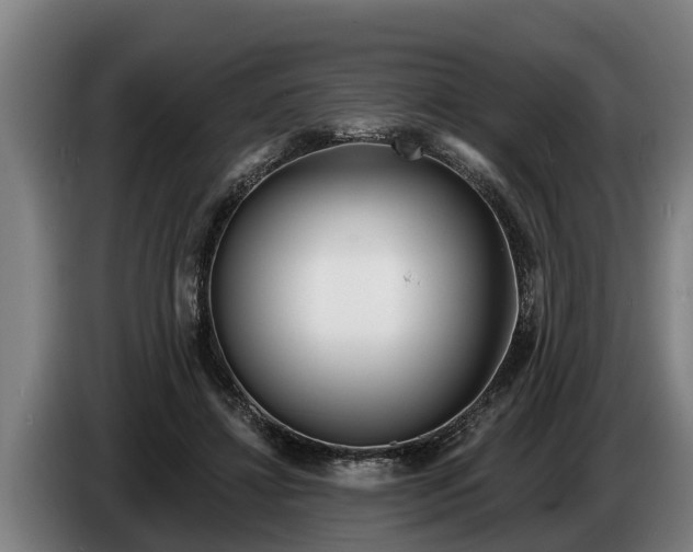 X0000086320452200704202025