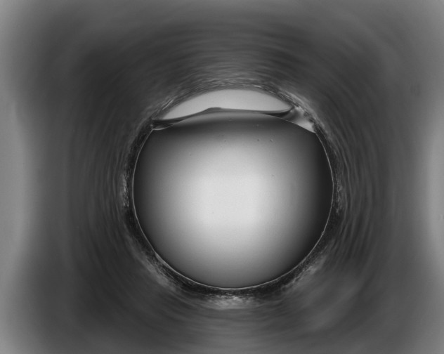 X0000086320453200704202025