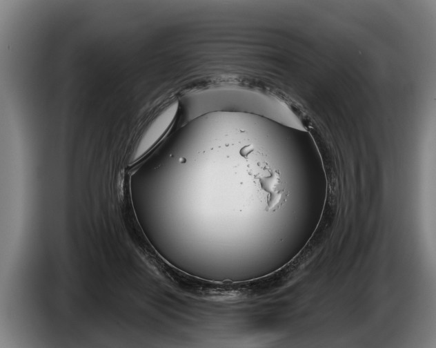 X0000086320454200704202025